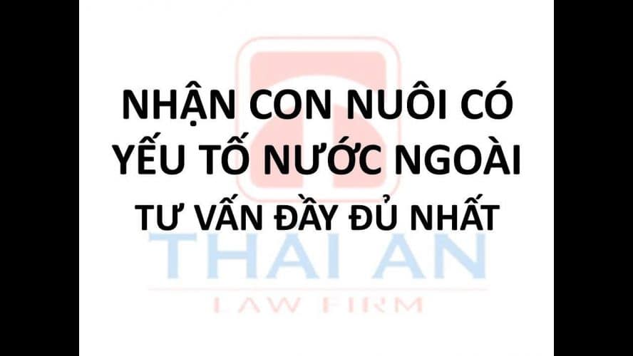 Công Ty Luật Thái An™