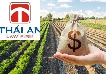 Người nước ngoài không được mua đất nông nghiệp tại Việt Nam