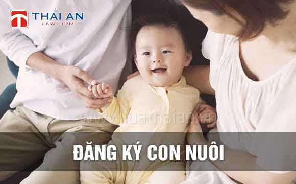 Công Ty Luật Thái An™