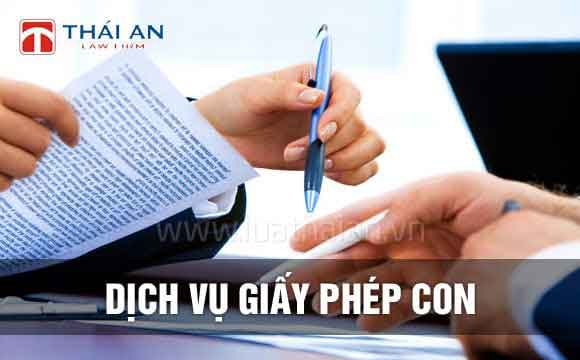 Công Ty Luật Thái An™
