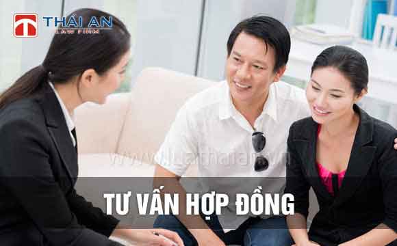 Công Ty Luật Thái An™