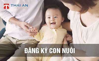 Công Ty Luật Thái An™
