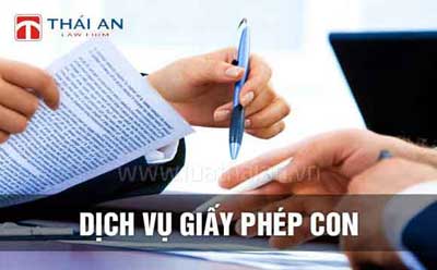Công Ty Luật Thái An™