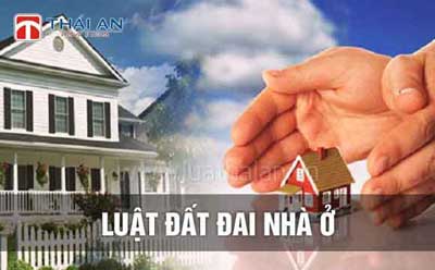 Công Ty Luật Thái An™
