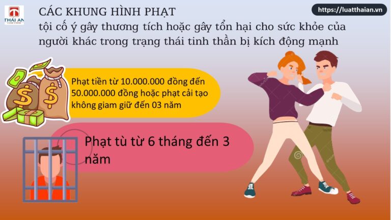 A-Z về tội cố ý gây thương tích trong trạng thái tinh thần bị kích động mạnh
