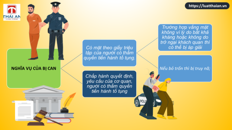 Bị can là ai? Bị can có các quyền và nghĩa vụ gì ?