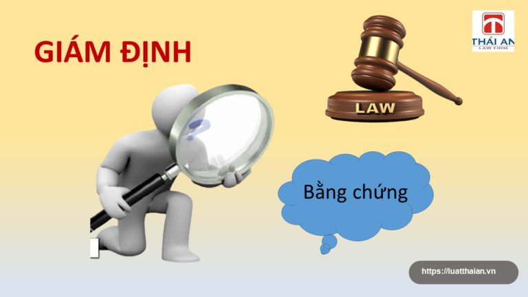 Giám định trong vụ án dân sự: Các quy định cần biết!