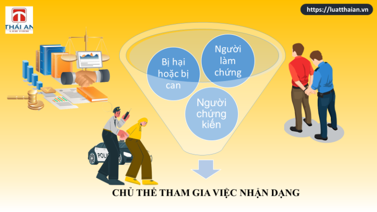 Nhận dạng trong điều tra vụ án hình sự