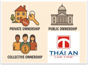 Các hình thức sở hữu tài sản