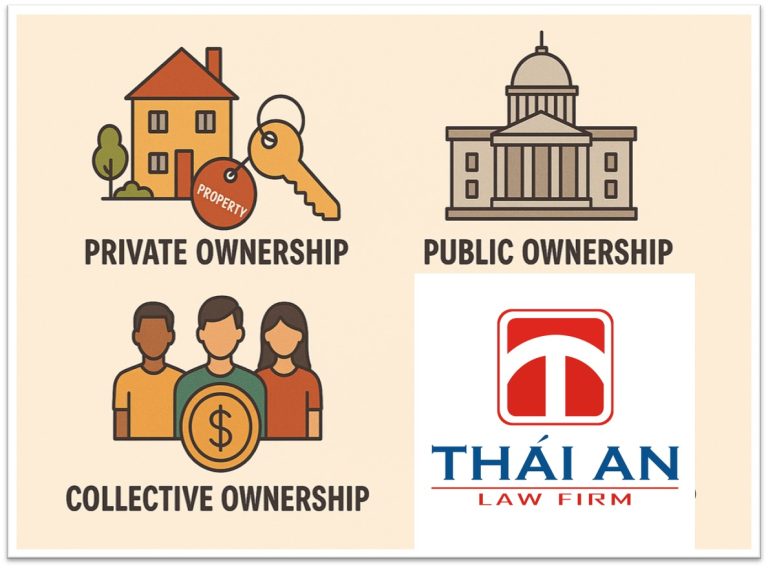 Các hình thức sở hữu tài sản