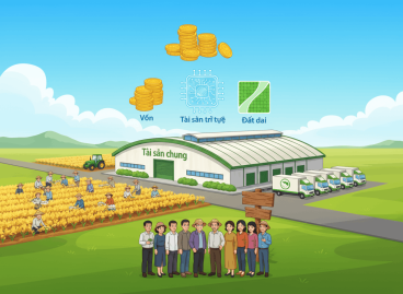 tài sản của hợp tác xã