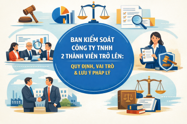 Ban kiểm soát công ty TNHH 2 thành viên trở lên