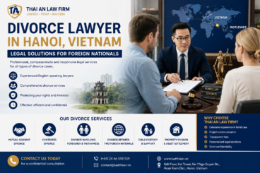 divorce lawyer